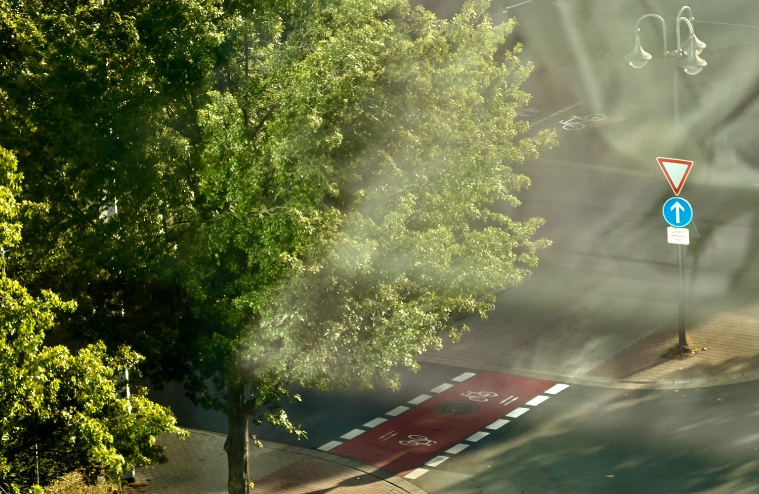 Künstlerisch verfremdeter Blick auf eine Cottbuser Straße mit rotem Radweg und Baum im Gegenlicht.